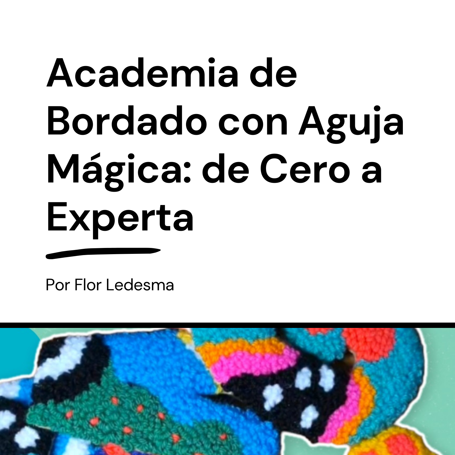 Academia de Bordado con Aguja Mágica: de 0 a Experta